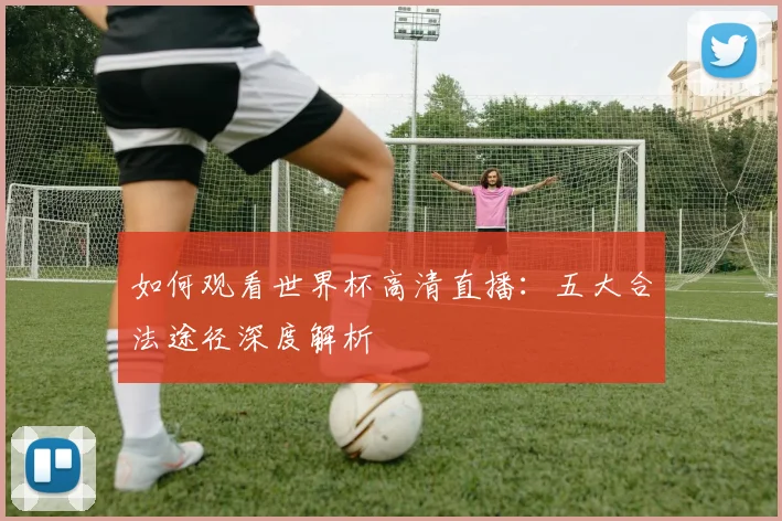 如何观看世界杯高清直播：五大合法途径深度解析
