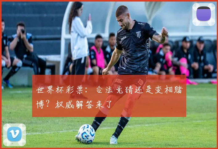 世界杯彩票：合法竞猜还是变相赌博？权威解答来了