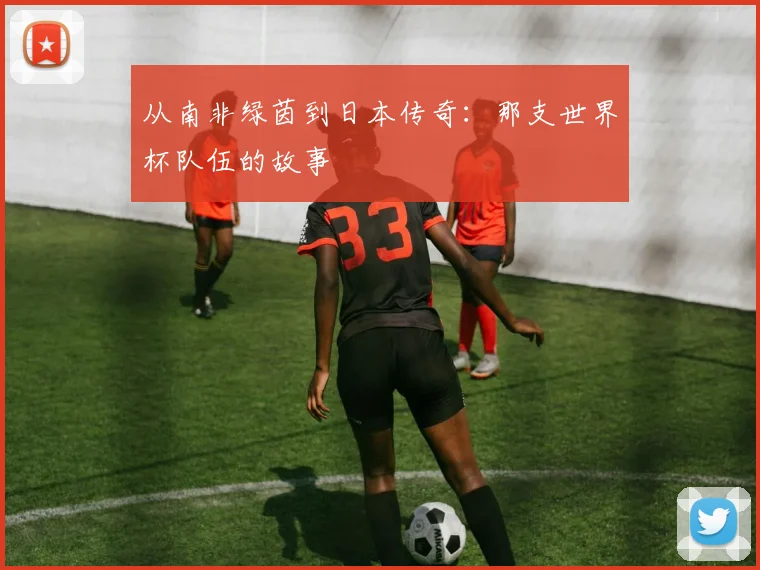 从南非绿茵到日本传奇：那支世界杯队伍的故事