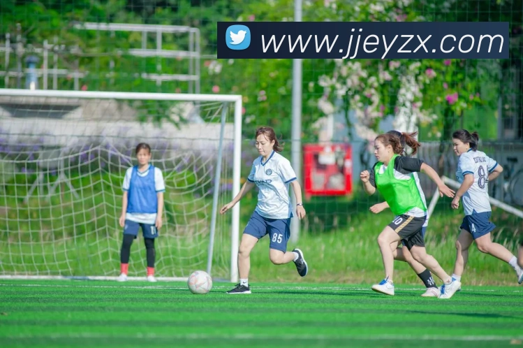 mksports在线登录入口发展历程